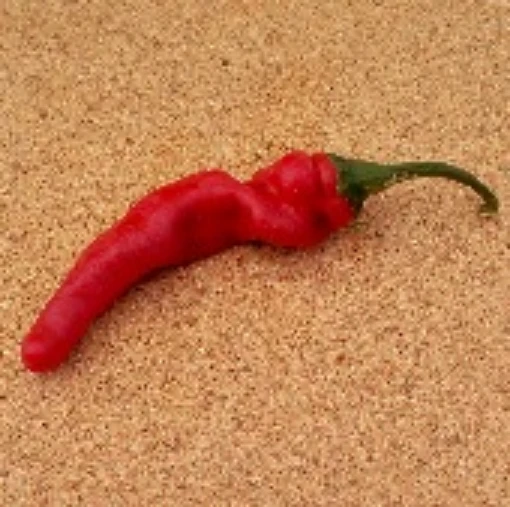 1180 Hot Peppers (Type 4) HP2157-10